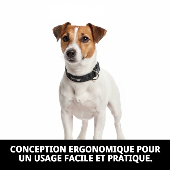 Collier Dog Control N.1 24 cm : Éducation Efficace