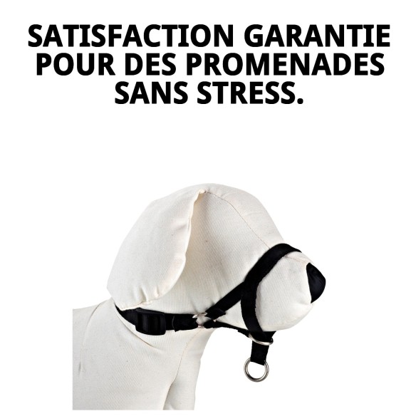 Collier Dog Control N.1 24 cm : Éducation Efficace