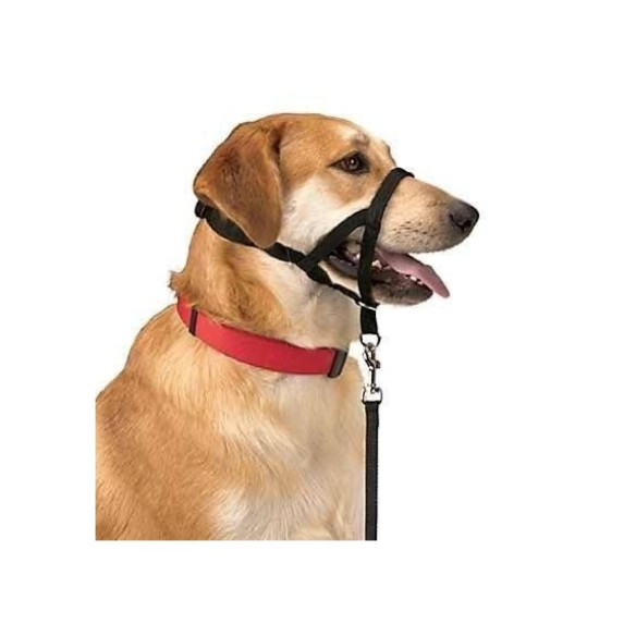 Collier de dressage pour chiens Dog Control N.4 38cm