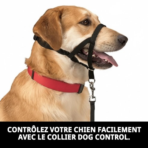 Collier de dressage pour chiens Dog Control N.4 38cm