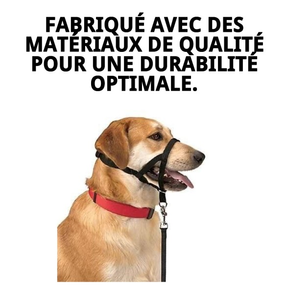 Collier de dressage pour chiens Dog Control N.4 38cm