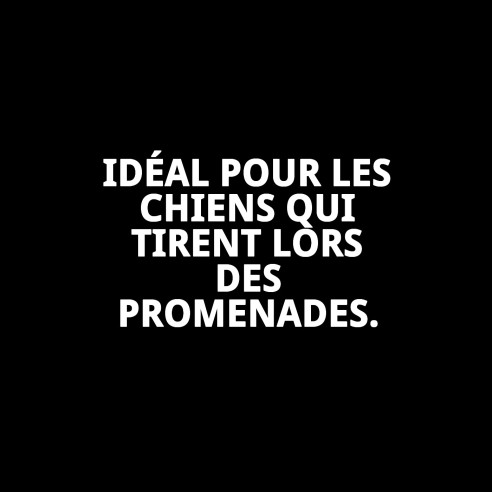 Collier de dressage pour chiens Dog Control N.4 38cm