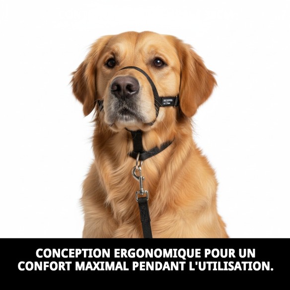 Collier de dressage pour chiens Dog Control N.4 38cm