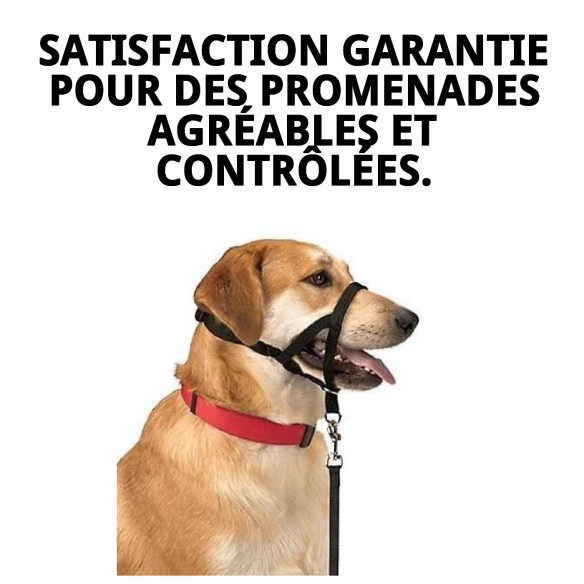 Collier de dressage pour chiens Dog Control N.4 38cm