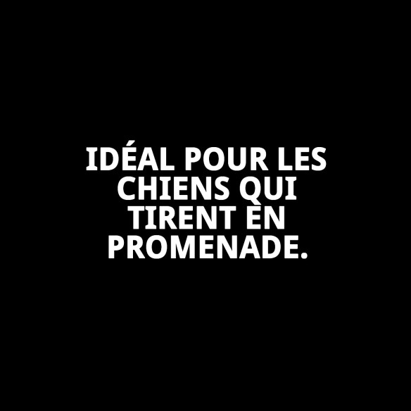 Collier Dog Control N.5 : Éduquez et contrôlez votre chien.
