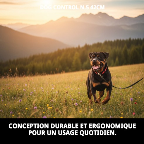 Collier Dog Control N.5 : Éduquez et contrôlez votre chien.