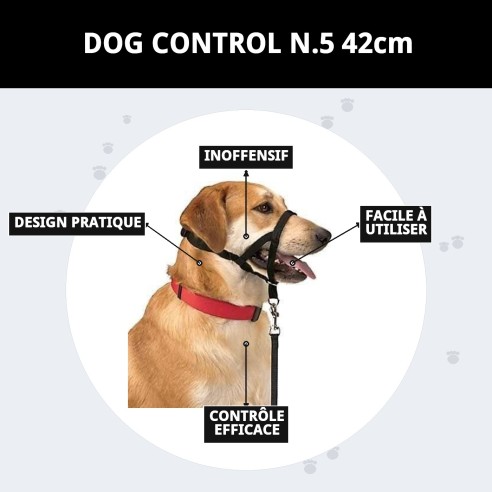 Collier Dog Control N.5 : Éduquez et contrôlez votre chien.