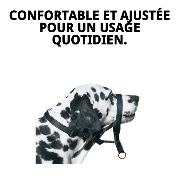 Muzzle DOG CONTROL N.7 pour Boxer 54cm - Confort et Sécurité
