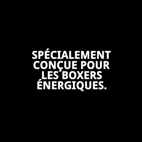 Muzzle DOG CONTROL N.7 pour Boxer 54cm - Confort et Sécurité