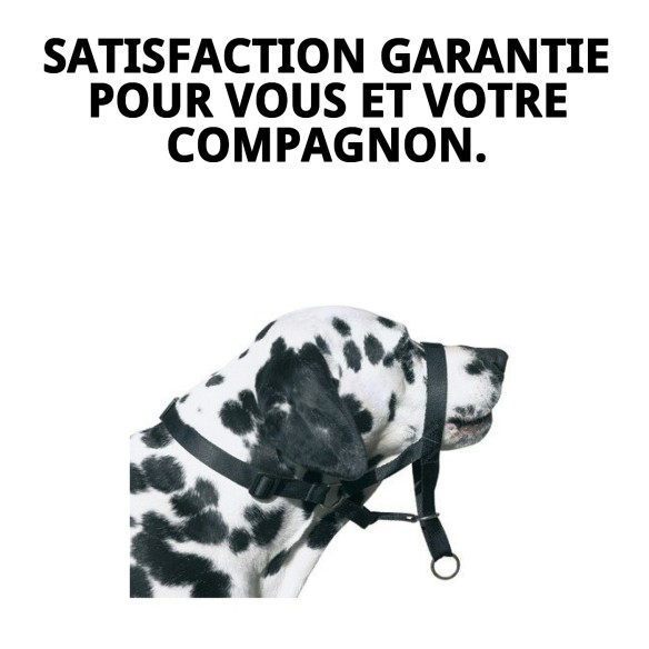 Muzzle DOG CONTROL N.7 pour Boxer 54cm - Confort et Sécurité