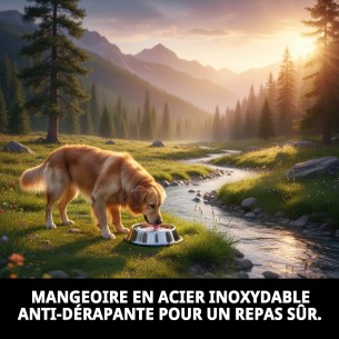 Bol en Acier Antidérapant 25 cm - 2,35 L Idéal pour Animaux de Compagnie 2