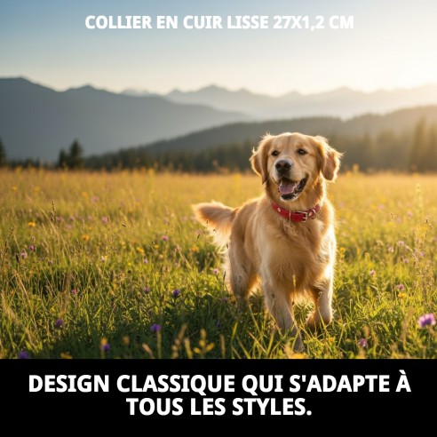 Collier en Cuir Lisse 27x1,2 cm pour Animaux Élégants