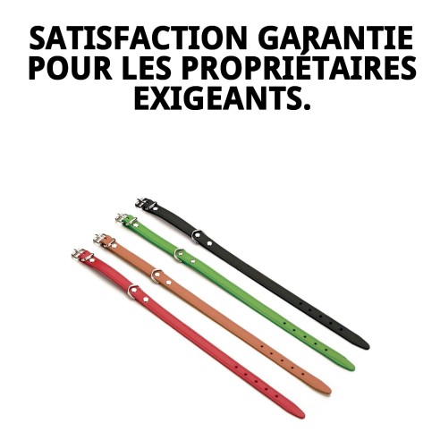 Collier en Cuir Lisse 27x1,2 cm pour Animaux Élégants