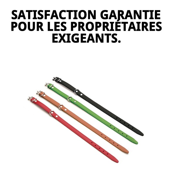 Collier en Cuir Lisse 27x1,2 cm pour Animaux Élégants