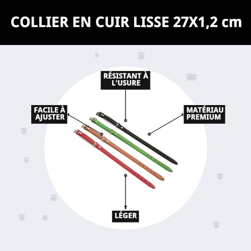 Collier en Cuir Lisse 27x1,2 cm pour Animaux Élégants