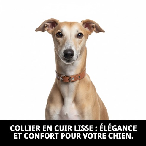 Collier en cuir lisse 35x1,3 cm pour chiens élégants.