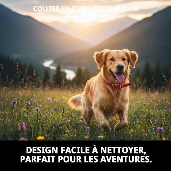Collier en cuir lisse 35x1,3 cm pour chiens élégants.