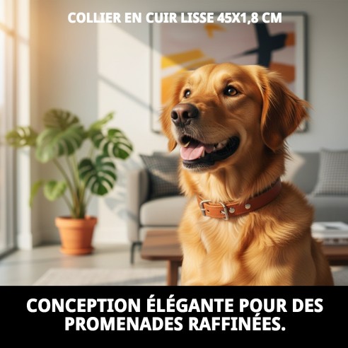 Collier en cuir lisse 45x1,8 cm pour animaux à bon prix.