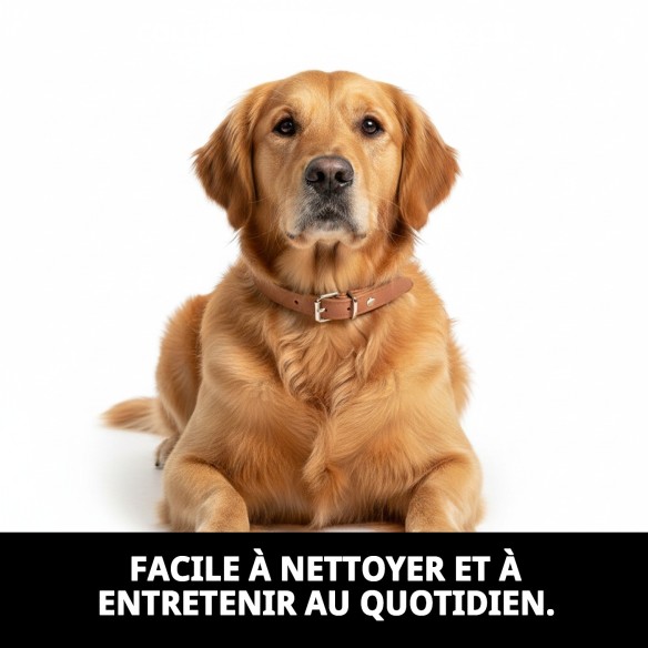 Collier en cuir lisse 50x2 cm pour votre animal de compagnie, élégant et durable.