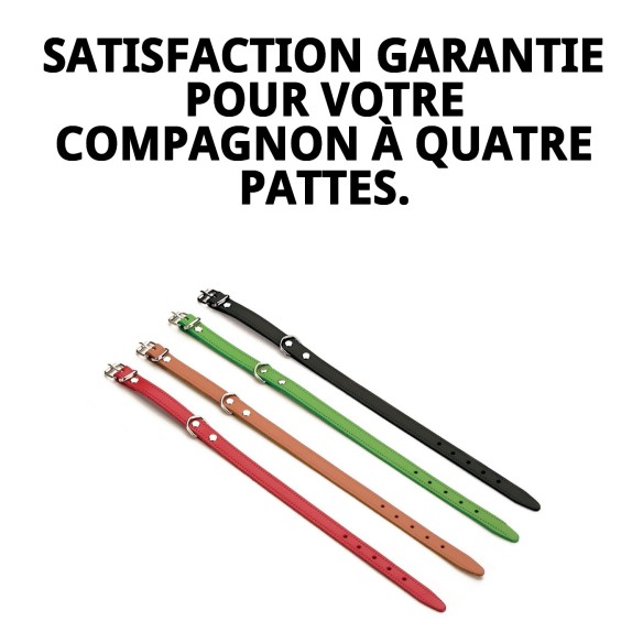 Collier en cuir lisse 50x2 cm pour votre animal de compagnie, élégant et durable.