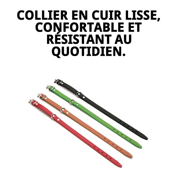 Collier en Cuir Lisse 55x2,5 cm pour Animaux de Compagnie Élégant