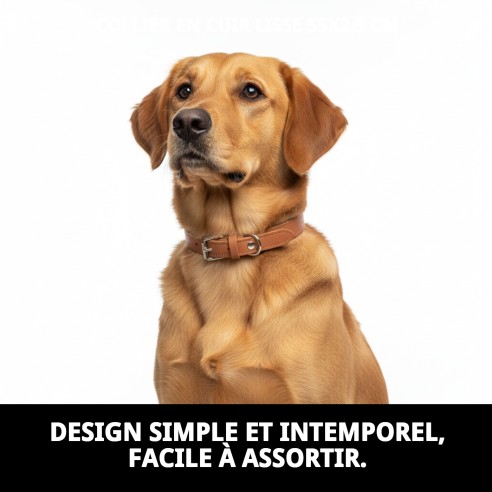 Collier en Cuir Lisse 55x2,5 cm pour Animaux de Compagnie Élégant