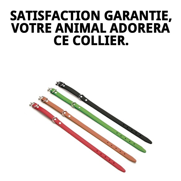 Collier en Cuir Lisse 55x2,5 cm pour Animaux de Compagnie Élégant