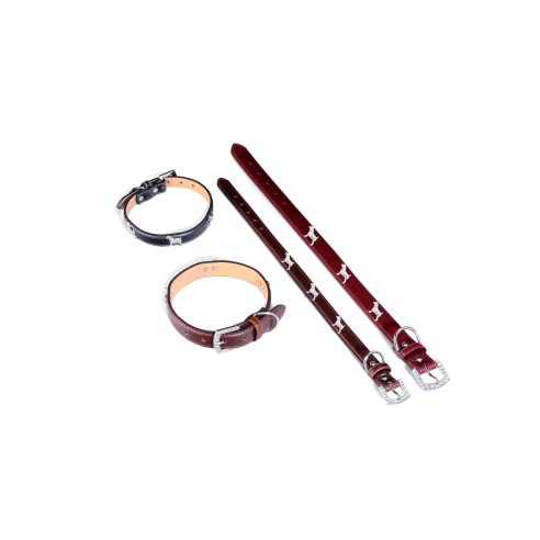 Collier en Cuir pour Petit Chien 1,9x45 cm - Style et Confort