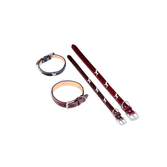 Collier en Cuir pour Petit Chien 1,9x45 cm - Style et Confort