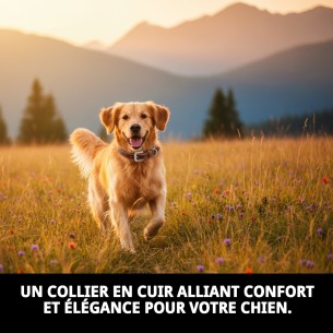 Collier en Cuir pour Petit Chien 1,9x45 cm - Style et Confort 2