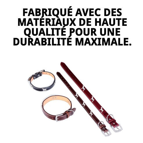 Collier en Cuir pour Petit Chien 1,9x45 cm - Style et Confort