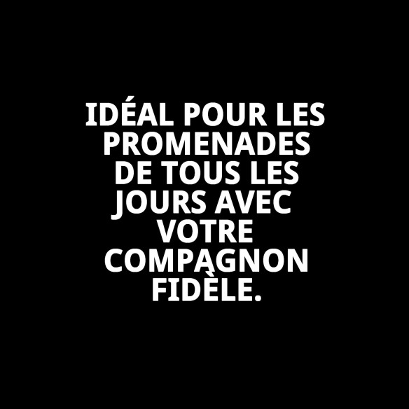 Collier en Cuir pour Petit Chien 1,9x45 cm - Style et Confort