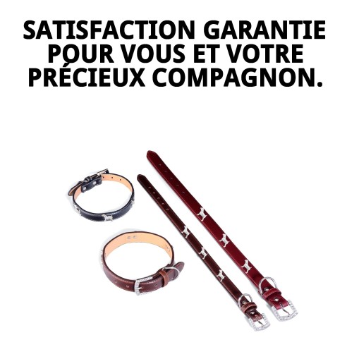 Collier en Cuir pour Petit Chien 1,9x45 cm - Style et Confort