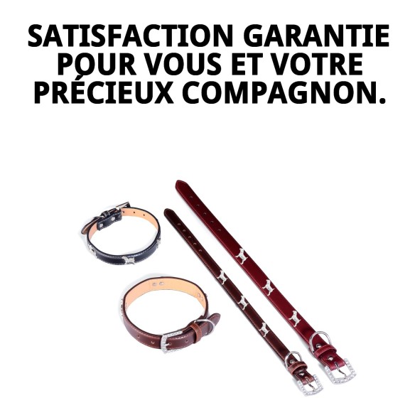 Collier en Cuir pour Petit Chien 1,9x45 cm - Style et Confort