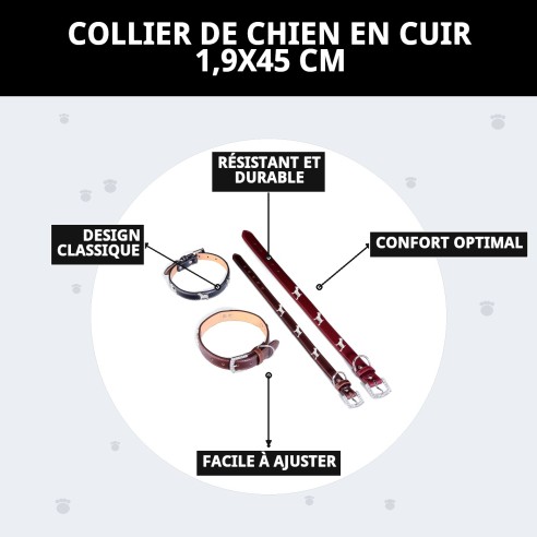 Collier en Cuir pour Petit Chien 1,9x45 cm - Style et Confort