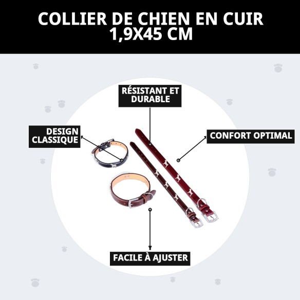Collier en Cuir pour Petit Chien 1,9x45 cm - Style et Confort