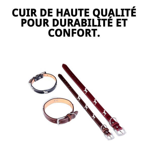 Collier en Cuir pour Chien 50x2,5 cm - Style et Confort