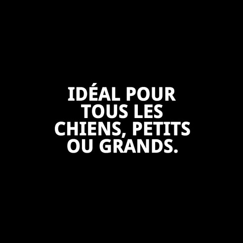 Collier en Cuir pour Chien 50x2,5 cm - Style et Confort