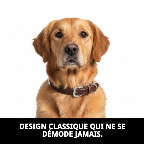 Collier en Cuir pour Chien 50x2,5 cm - Style et Confort