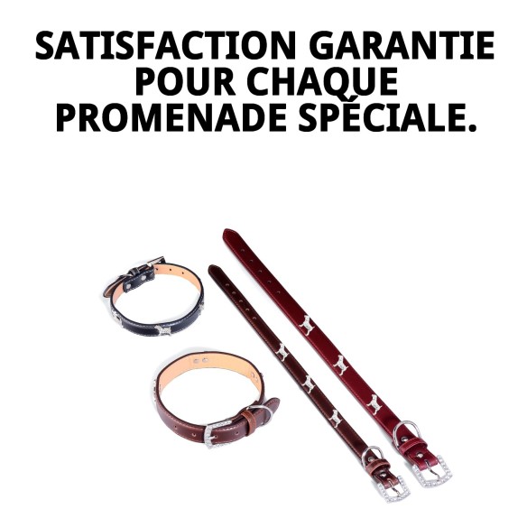 Collier en Cuir pour Chien 50x2,5 cm - Style et Confort