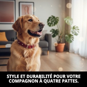 Collier en cuir Forniture 1,5x35 cm pour votre animal de compagnie. 2