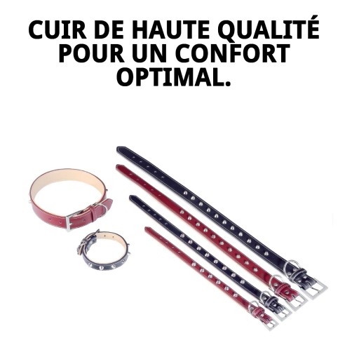 Collier en cuir Forniture 1,5x35 cm pour votre animal de compagnie.