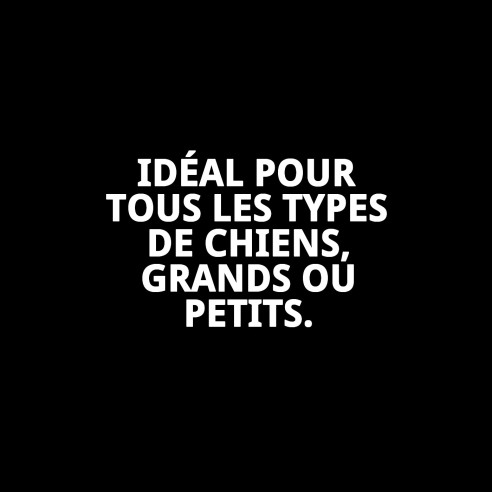 Collier en cuir Forniture 1,5x35 cm pour votre animal de compagnie.