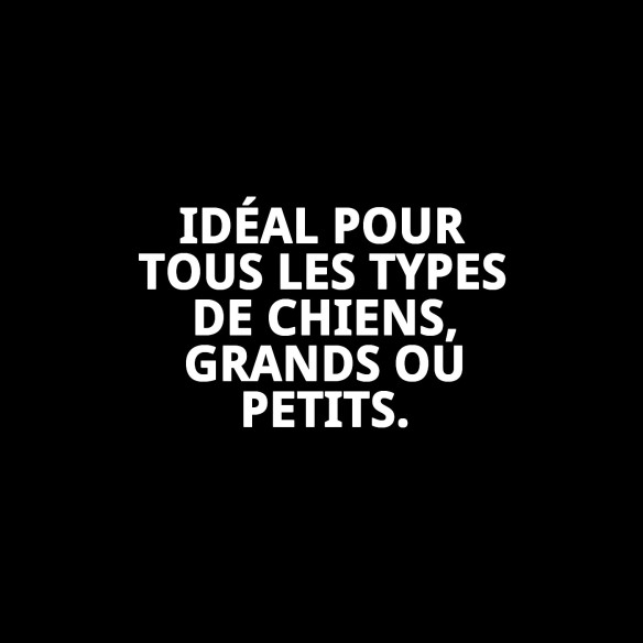 Collier en cuir Forniture 1,5x35 cm pour votre animal de compagnie.