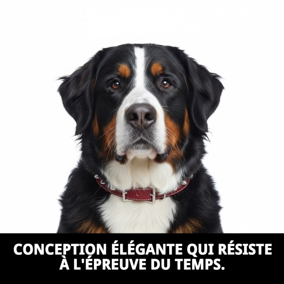 Collier en cuir Forniture 1,5x35 cm pour votre animal de compagnie.