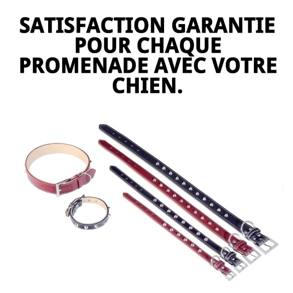 Collier en cuir Forniture 1,5x35 cm pour votre animal de compagnie.