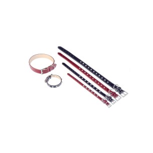 Collier en cuir Forniture 2x45 cm pour animaux de compagnie élégants.