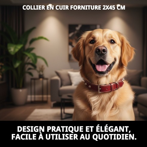 Collier en cuir Forniture 2x45 cm pour animaux de compagnie élégants.