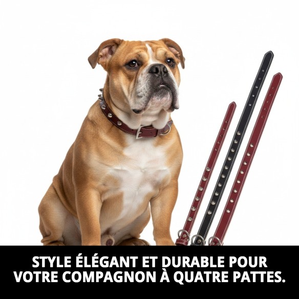 Collier en cuir Forniture 3x60 cm pour animaux de compagnie