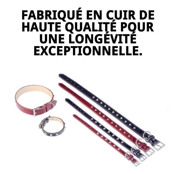 Collier en cuir Forniture 3x60 cm pour animaux de compagnie